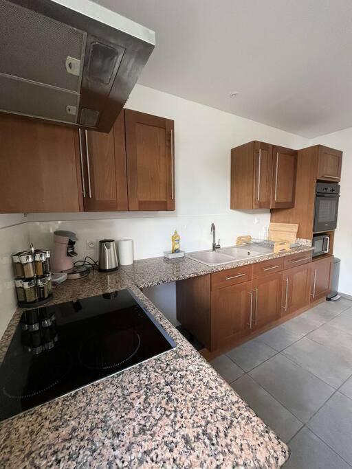 La Maison Dardenne Villeneuve-sur-Lot Extérieur photo